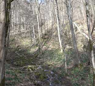 Gütersteiner Wasserfall