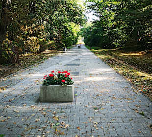 Kurpark Bad Düben
