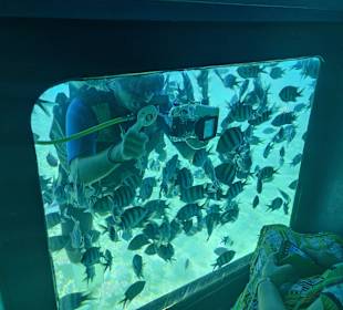 Glasbodenboot Tour Hurghada