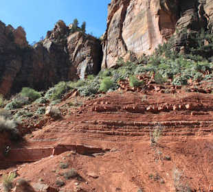 Im Zion Nationalpark