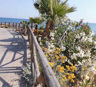 Star Beach Waterpark 