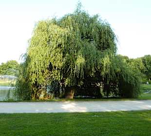 Kurpark