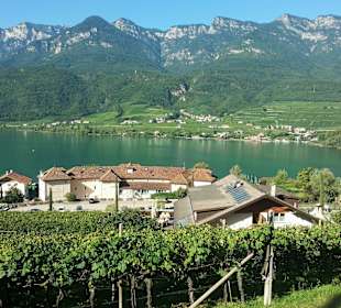 Blick von der Strasse oberhalb 