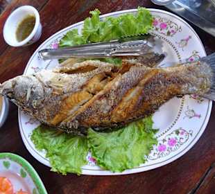 Mittagessen, mitten im Meer
