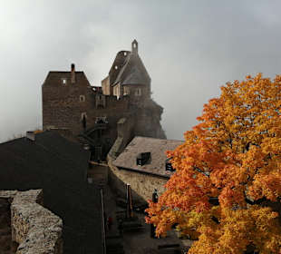Burgruine Aggstein Aggsbach-Dorf