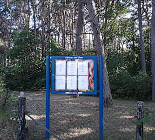 Wandern Breege