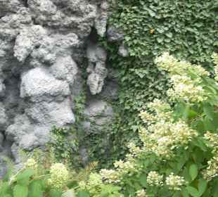 Muro istoriato di palazzo valdstejn