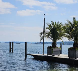 Blick auf den Bodensee