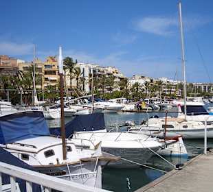 Hafen Alcudia (ca. 2km entfernt)