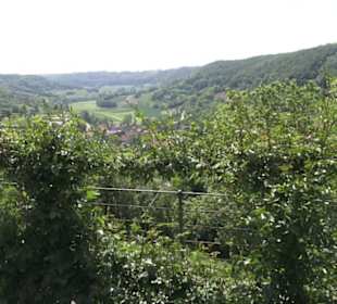 Schlosscafé im Rosengarten