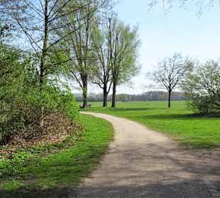 Impressionen vom Weg um den Hasportsee