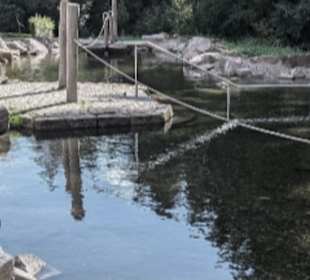 Kinzigsee