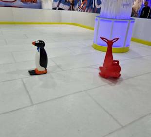 Kunststoff Bahn statt Eislaufbahn - Laufhilfe