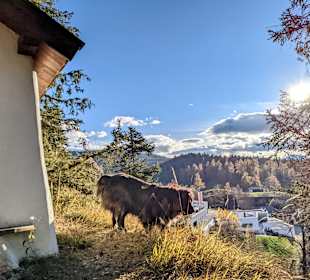 Wandern Mösern