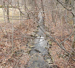 Wandern Bad Tatzmannsdorf