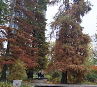 Parkanlage Planten un Blomen