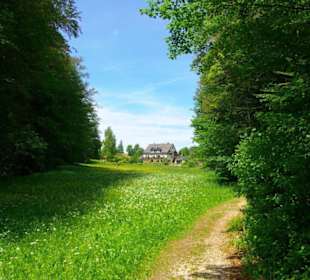 Wanderung zum Bärenfels