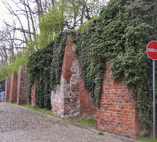 Alte Stadtmauer