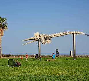 Strandpromenade Jandia/Playa de Jandia