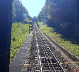 Fahrt mit der Königstuhlbahn