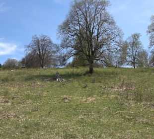 Naturreservat Beutenlay