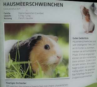Tierpark Hellabrunn