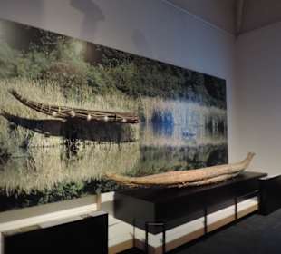 Im Museum viele Exponate