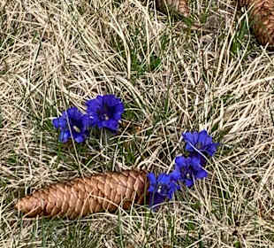 Wandern Neumarkt in der Steiermark