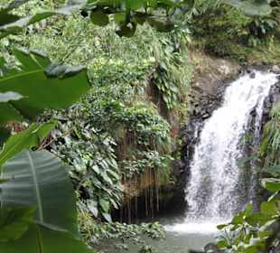 Annandale Falls