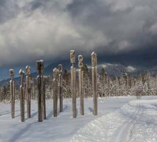 Moor-Erlebnis-Pfad Inzell  Haartänzer Winter
