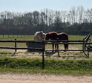 Spielplatz Van Horne Hoeve