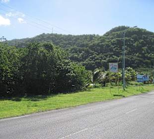 Fig Tree Drive - Antigua
