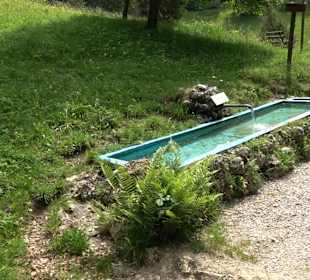 Waldlehrpfad in Tieringen