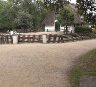 Bürgerpark