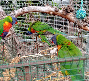 Raffeiner Orchideenwelt