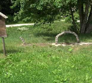 Phäno-Pfad Aichstetten