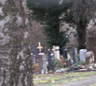 Friedhof Mittelstadt