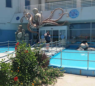 Kreta Auquarium
