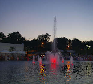 Аркадия, светомузыкальный фонтан