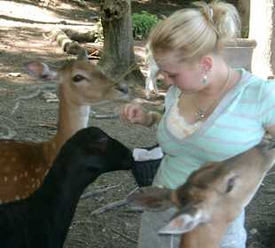 kurz bevor meine Tasche geplündert wurde