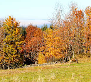 Kleiner Arbersee
