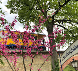 Nerobergbahn 