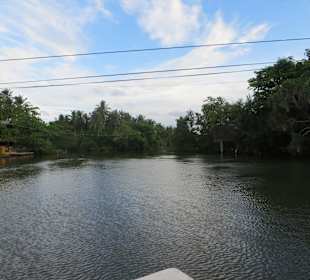 Flussfahrt vor dem Club Hotel Dolphin mit Haralds Boot