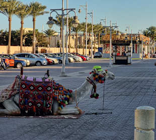 Stadtrundgang Hurghada