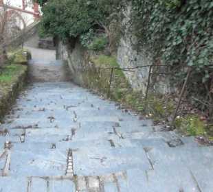 Stadtmauer- Rundweg - St. Peterskirche