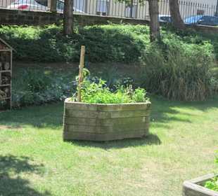 Niederbronn les Bains