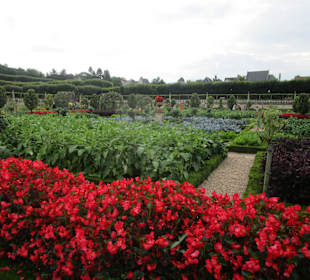  Schloss Villandry