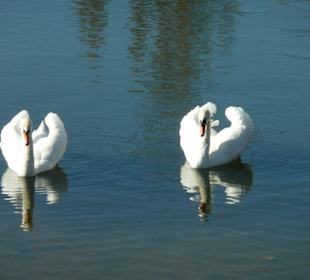 Park Skaryszewski w marcu