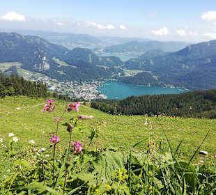 Wandern Mondsee