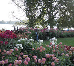 Insel Mainau